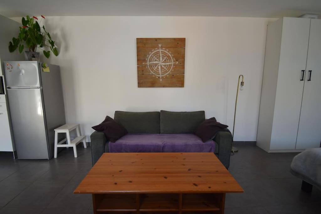 Grand Studio Independant Avec Jardin Goussainville (Val-d'Oise) Exterior foto